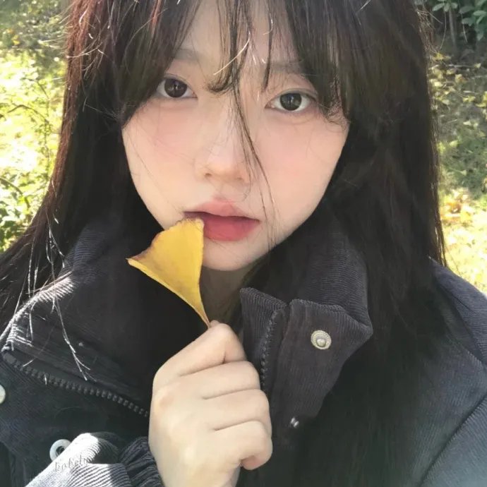 灵域第一季